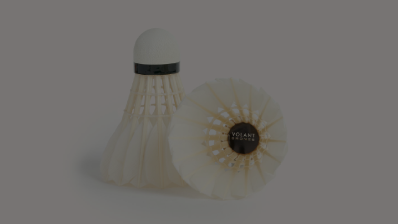 Badminton Shuttlecock for social play